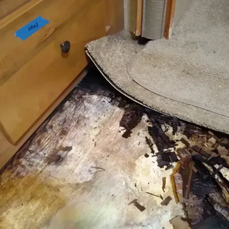 Wood Floor Water Damage in Nocatee, FL